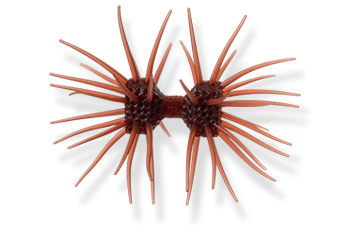 Dumbbell CRAB elastomer