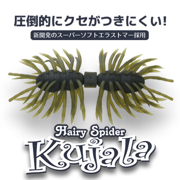 Hairy Spider Kujala