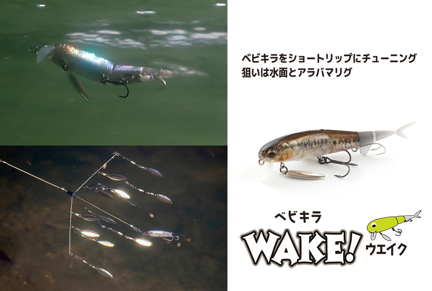 ベビキラWAKE