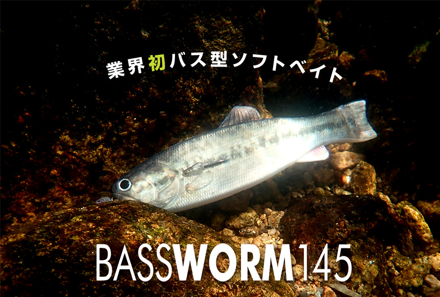 BASSWORM145