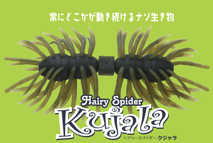 Hairy Spider Kujala