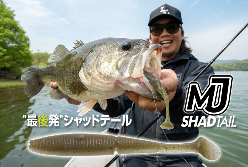 IMAKATSU | LOVE FISH FOR LIFE