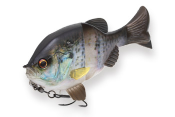 Gill Soft