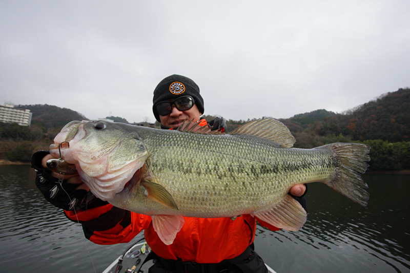 琵琶湖の場合は通常11月〜4月上旬までがソルソニシーズンとなります