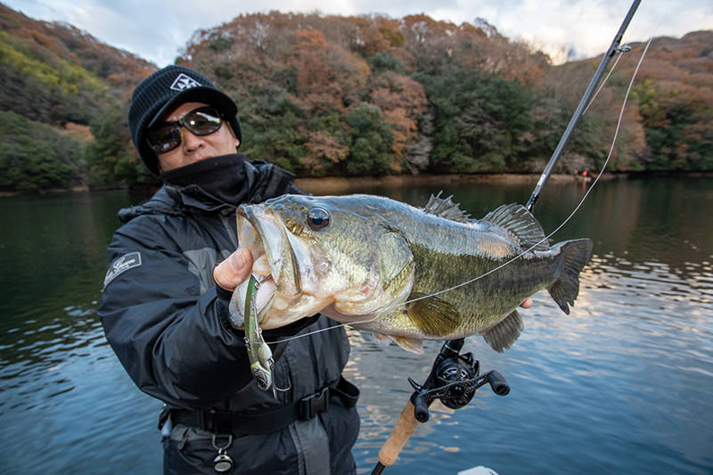 ソルソニ サウスブレード 17g