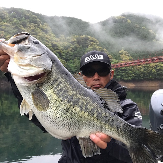 ジャバロンネオ135で62cm、61.5cm、59cm！！ | IMAKATSU