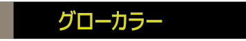 グローカラー