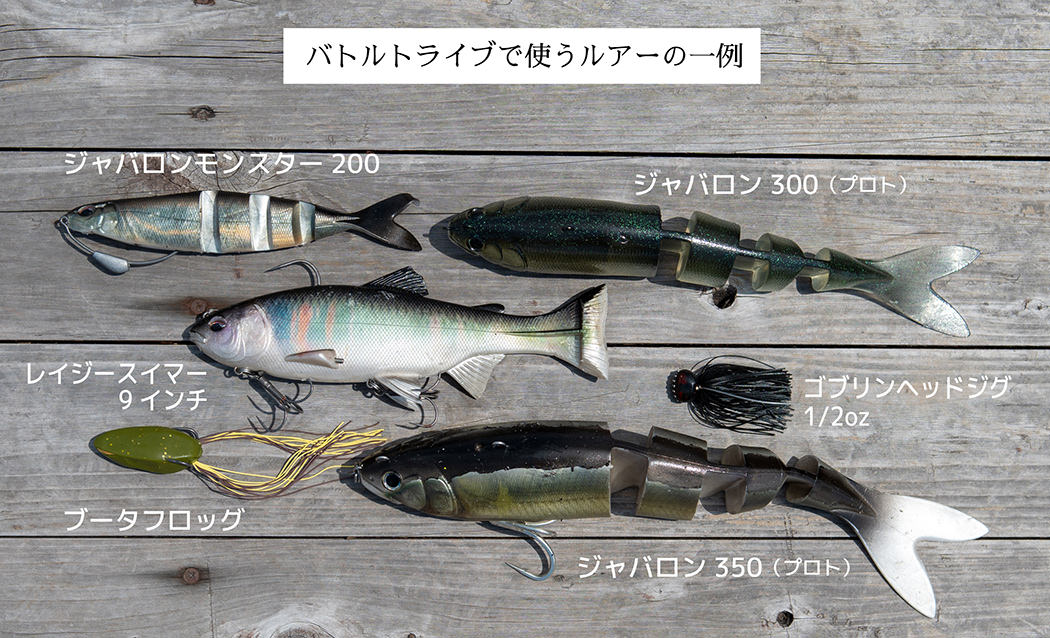 バトルトライブで使うルアーの一例