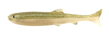 #S-513 リザーバーウグイ稚魚