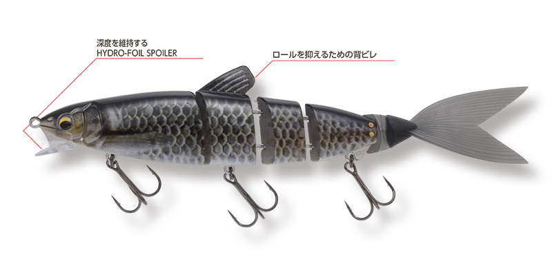進化のポイント