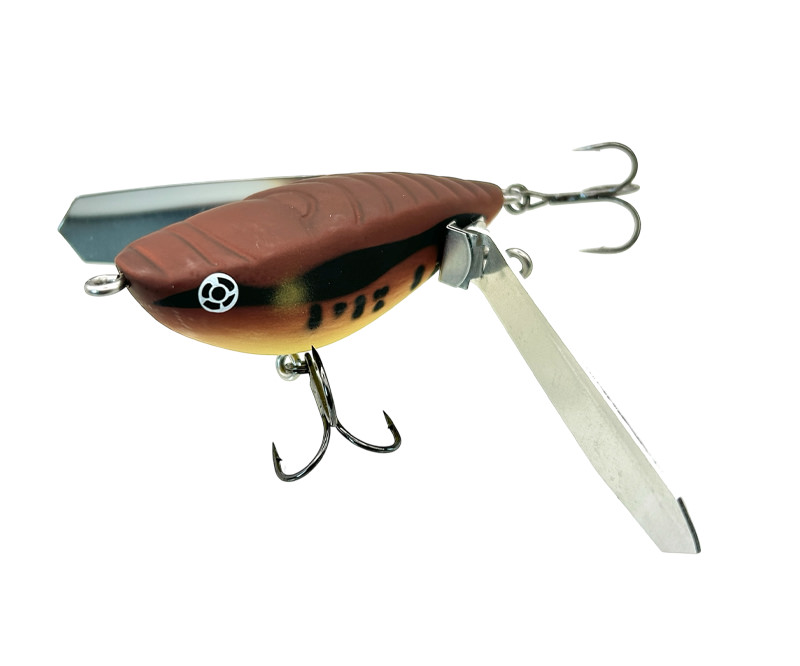 アベンタクローラーrs  神個体？　希少品 Aventa Crawler RS | IMAKATSU