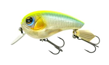#815 ストロングチャート