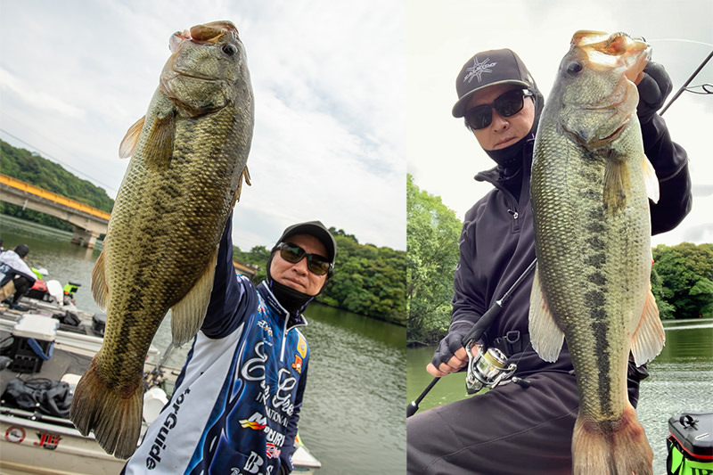 JB TOP50 小野湖戦では今江克隆が2 日目のキッカーフィッシュをジャバロンONE スーパーリアルのサイトフィッシングで速攻キャッチ