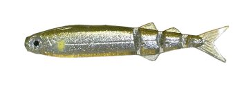 #S-228 ハーフスケルトングリーンアユ