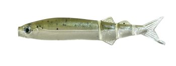 #S-513 リザーバーウグイ稚魚