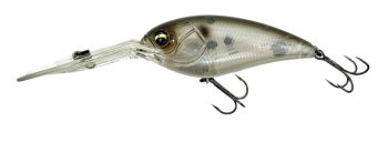 #685 スピードゴースト