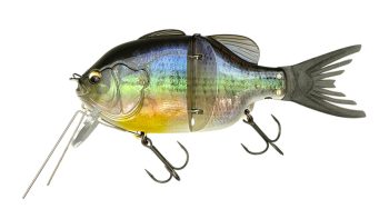 #749 3Dゴーストコギル