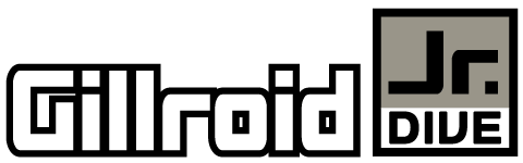 ロゴ：GillRoid Jr. DIVE