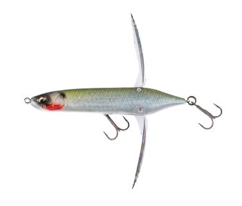 #805 ヘイジーシャッド