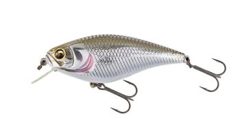 #1029 フラッシュシャッド