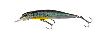 #749 3Dゴーストコギル