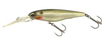 #805 ヘイジーシャッド