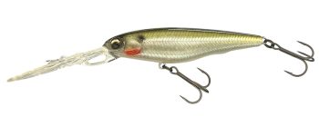 #805 ヘイジーシャッド