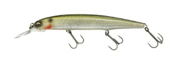 #805 ヘイジーシャッド