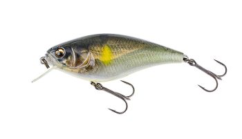 #902 3DRゴースト砂喰鮎（ゴールドFP）