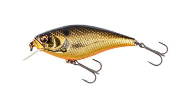 #933 スケールステインゴールド