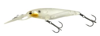 #960 イマエドライアイス