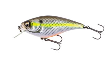 #961 イマエセクシー