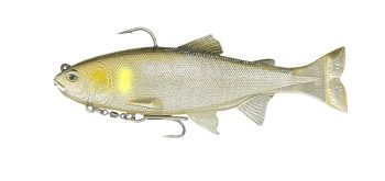 #S-228 ハーフスケルトングリーンアユ