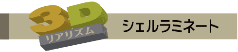 3D シェルラミネート