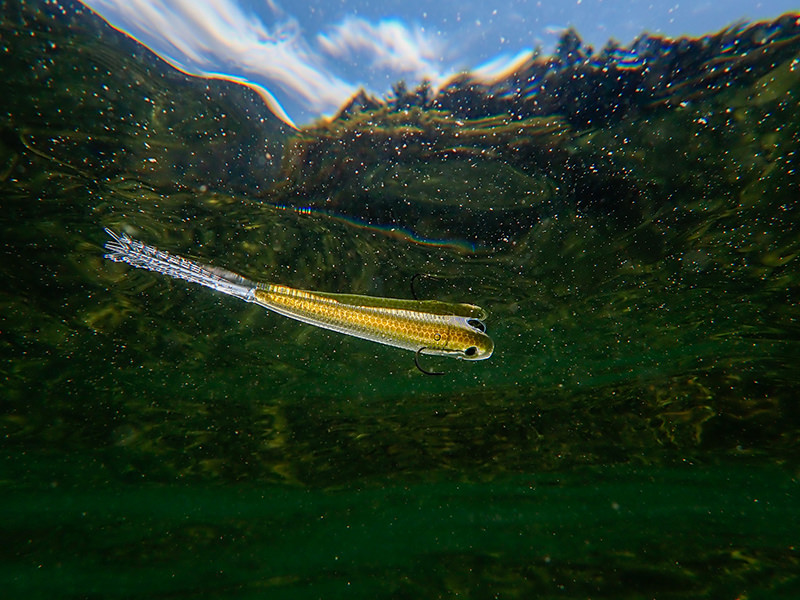 Rainbow Tube 泳ぎ方