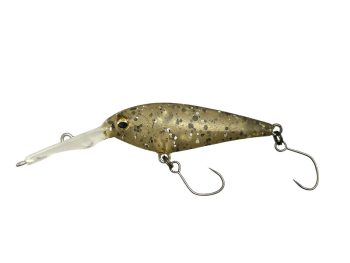 #1017 パンプキンシード