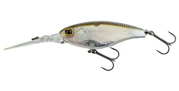 #1029 フラッシュシャッド