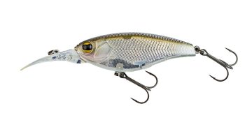 #1029 フラッシュシャッド