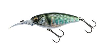 #717 3DRレーザーオイカワ