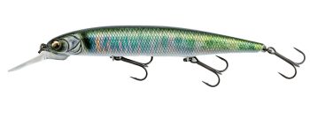 #717 3DRレーザーオイカワ