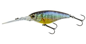 #749 3Dゴーストコギル