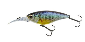 #749 3Dゴーストコギル