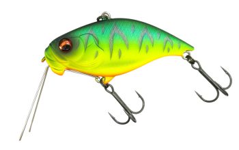 #45 マットホットタイガー