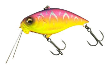 #46 マットレッドホットタイガー