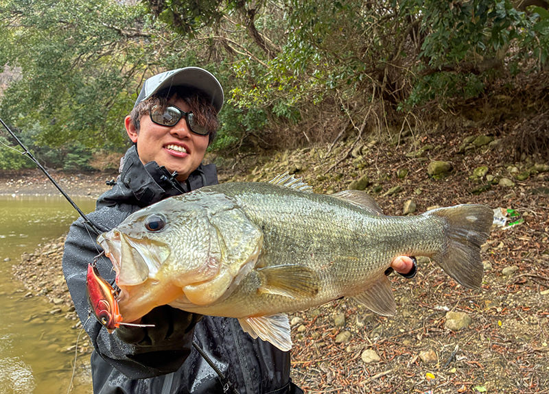 ボートからも岸からも大活躍:岸釣り釣果