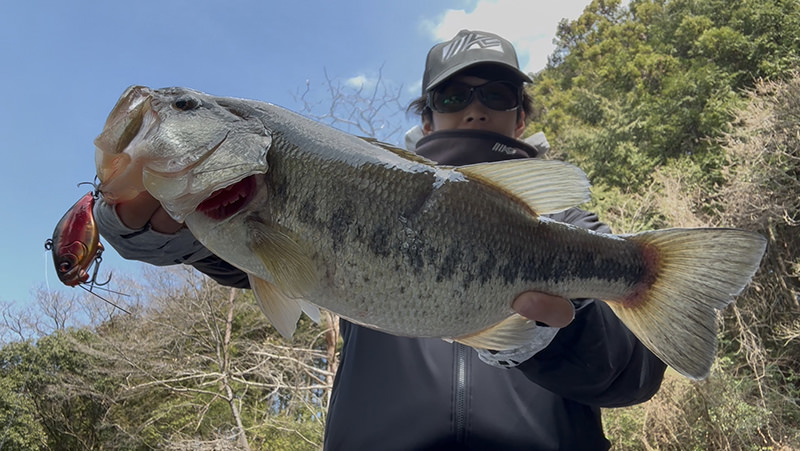 ボートからも岸からも大活躍:釣果
