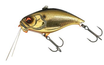 #111 ステインゴールド