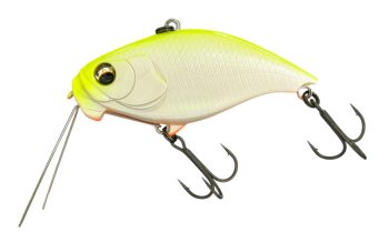 #149 イマカツレモン