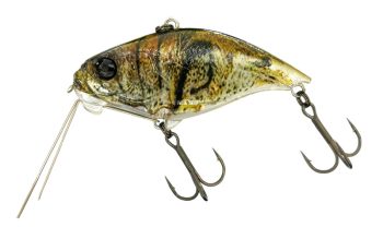 #832 3D三原泥テナガ