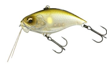 #875 伝説ゴーストアユ